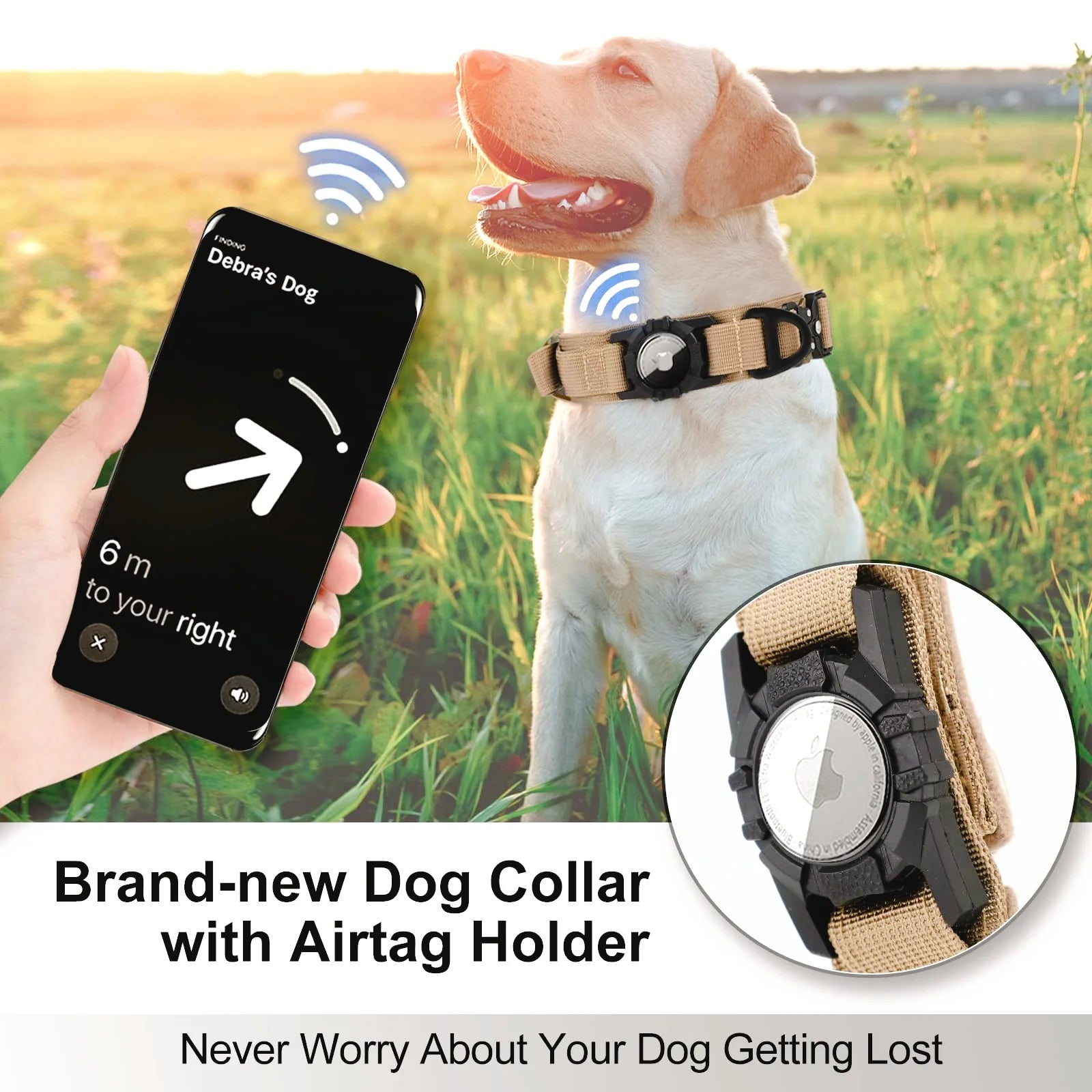 AlphaTag Military Dog Collar