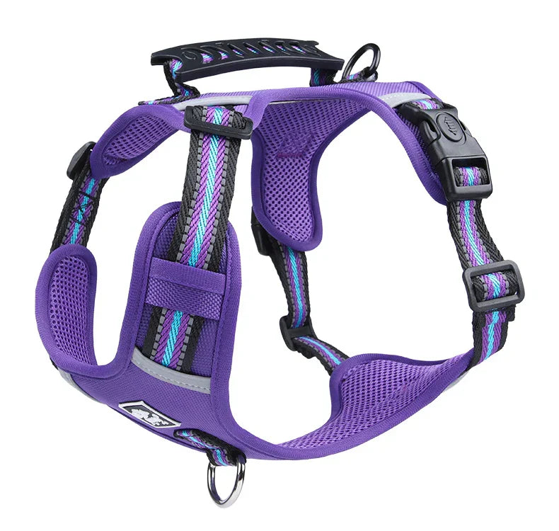 Travel Dog Harness & Lead