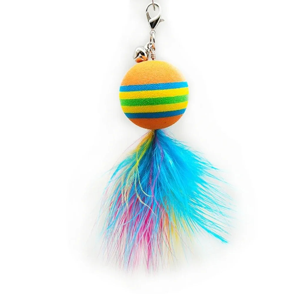 Cat Toys