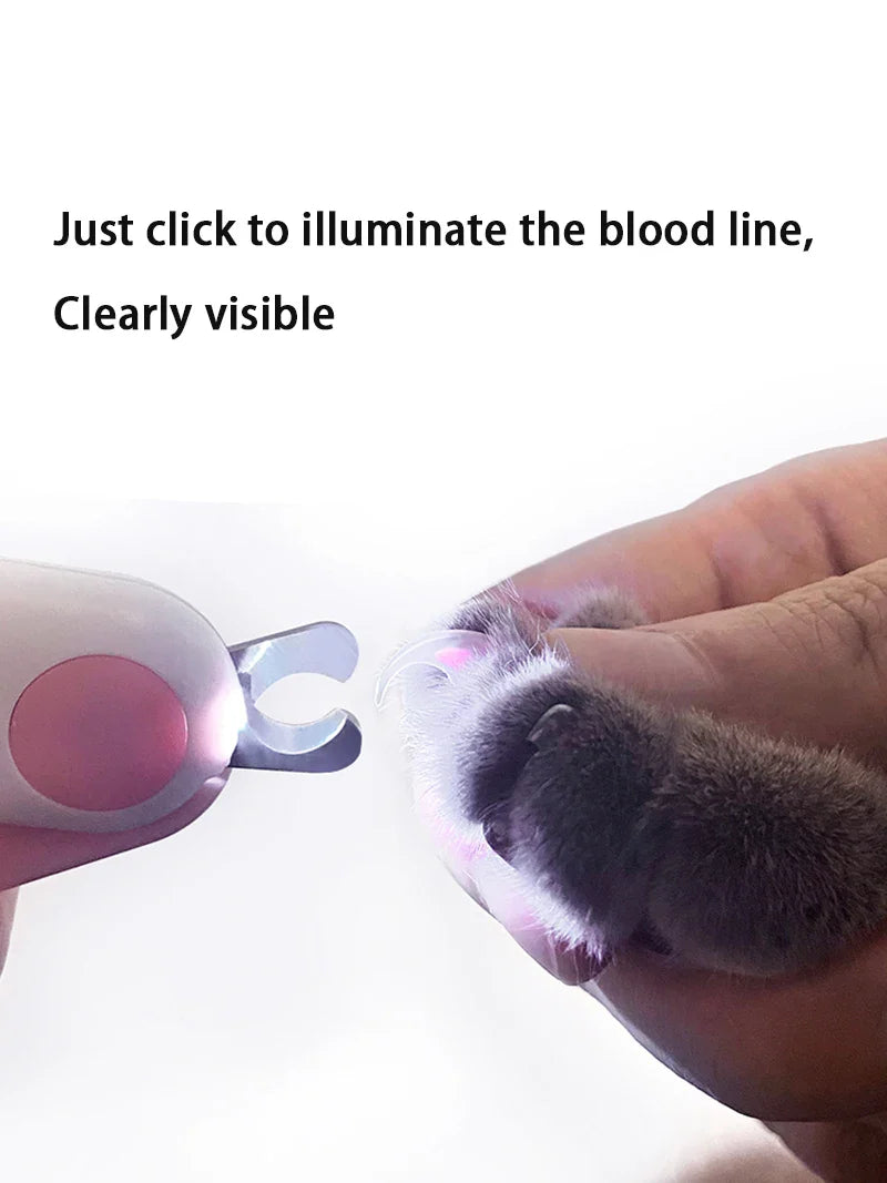 LED Light Cat