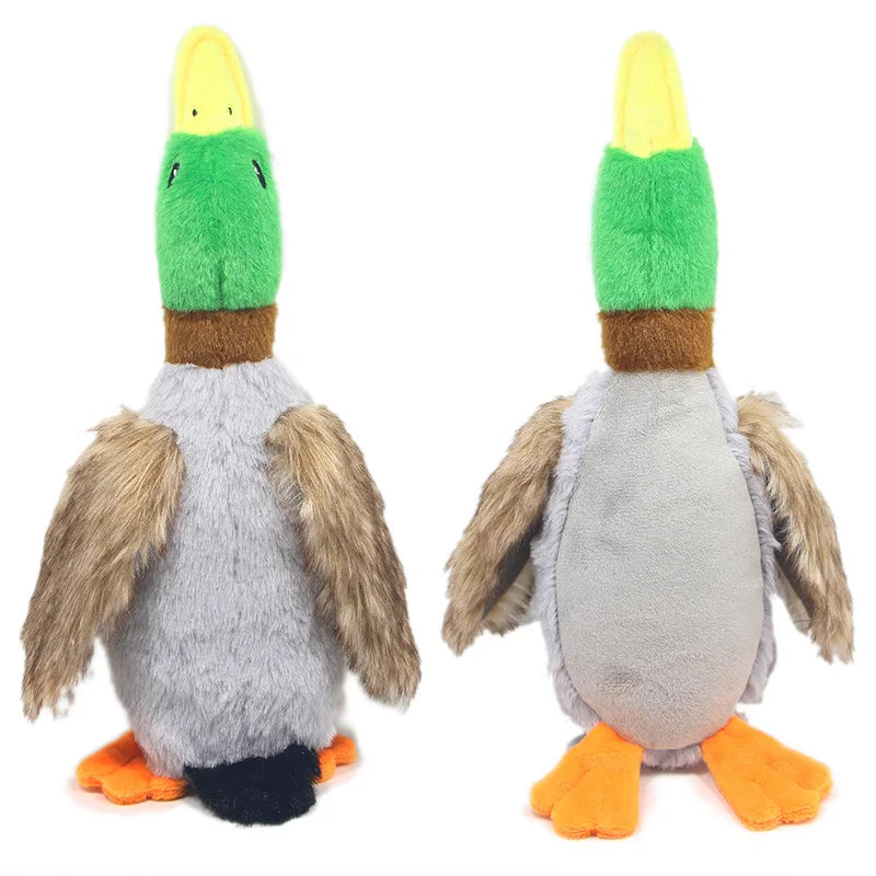 Plush Wild Duck Dog Toy with Squeaker
