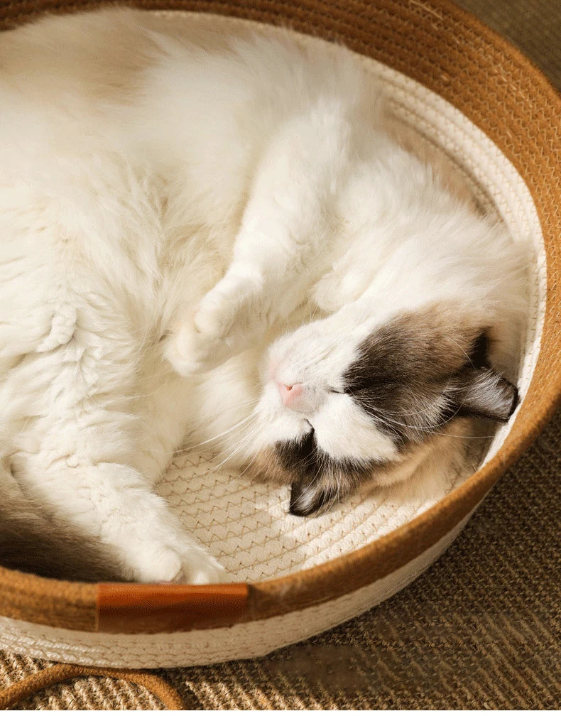 Madden Handwoven Rattan Cat Bed Basket
