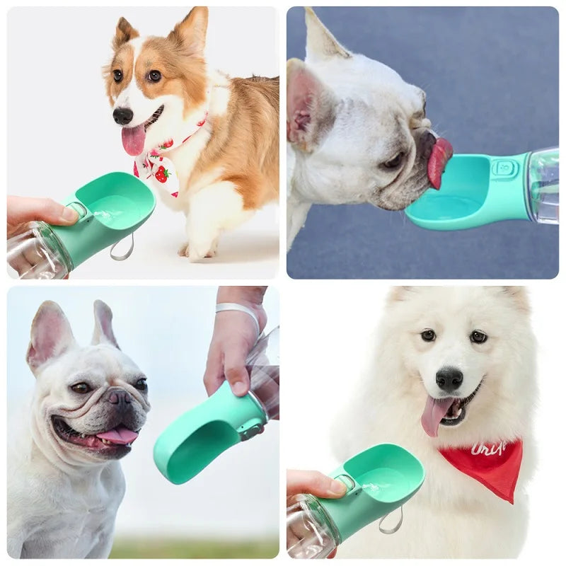 Dog Water Bottles