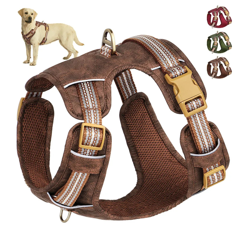 Dog Harness