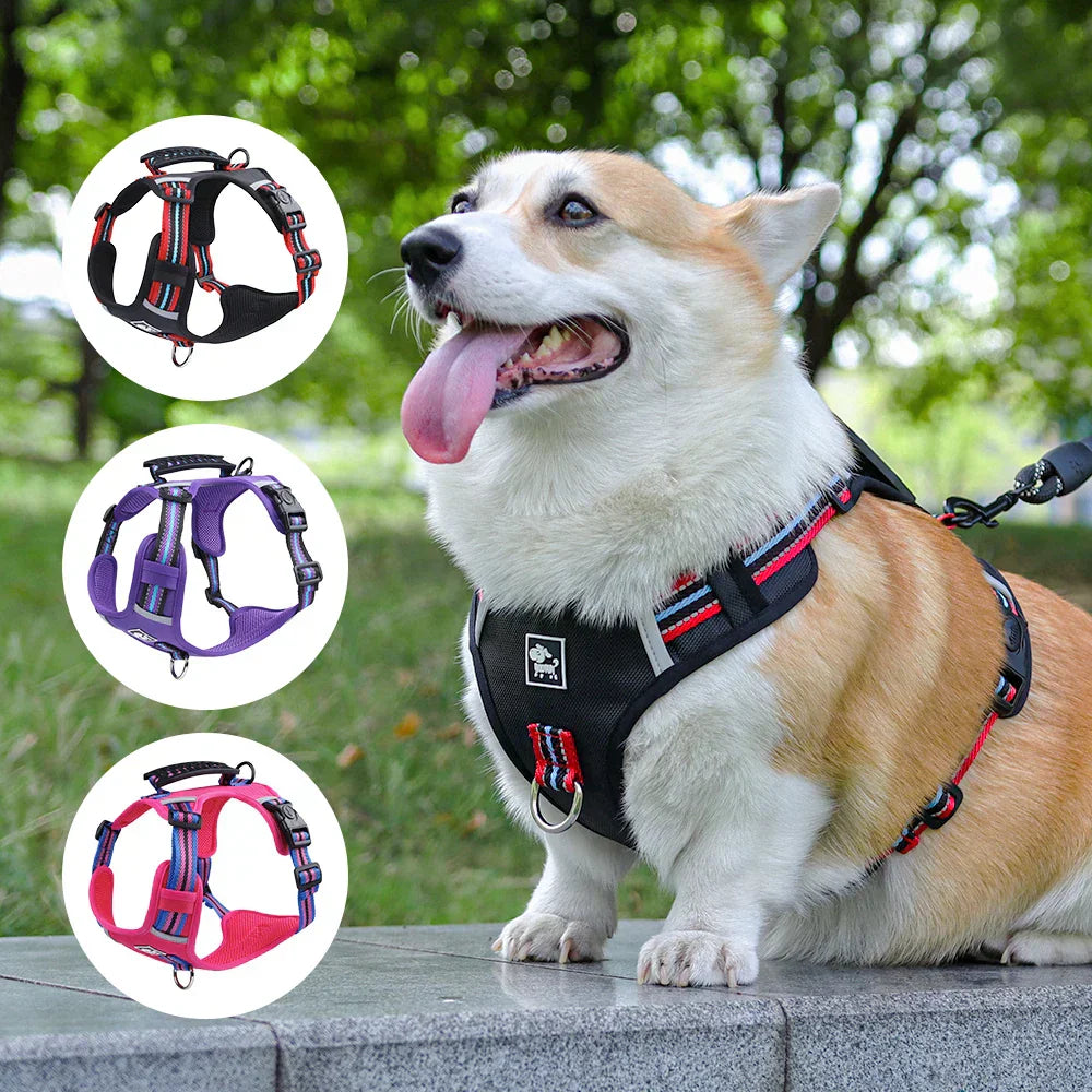 Travel Dog Harness & Lead