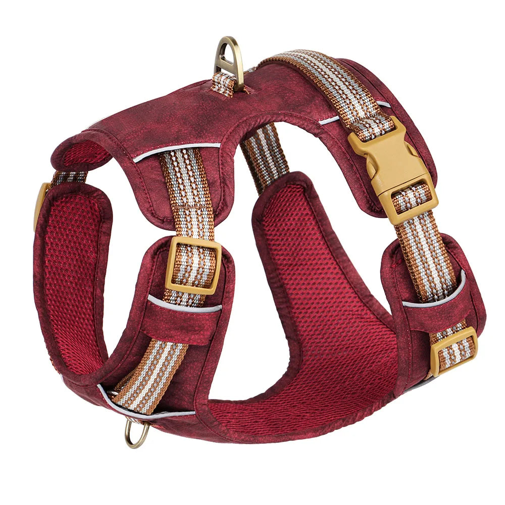 Dog Harness