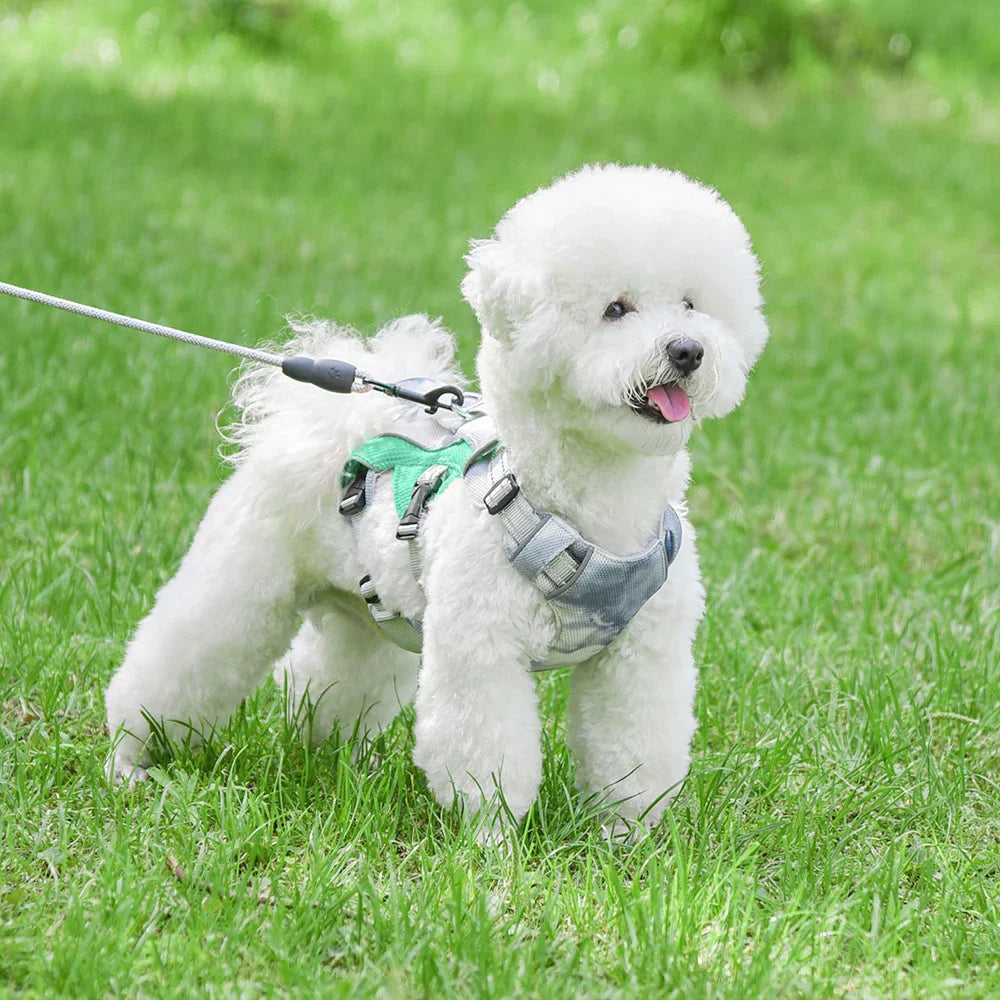 Adjustable Dog Vest