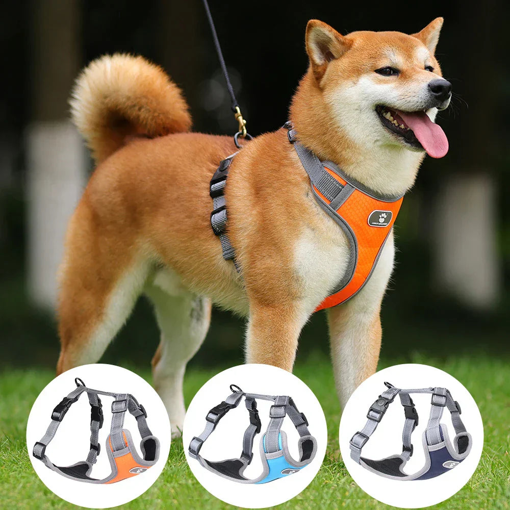 Dog Rainproof Harness Set