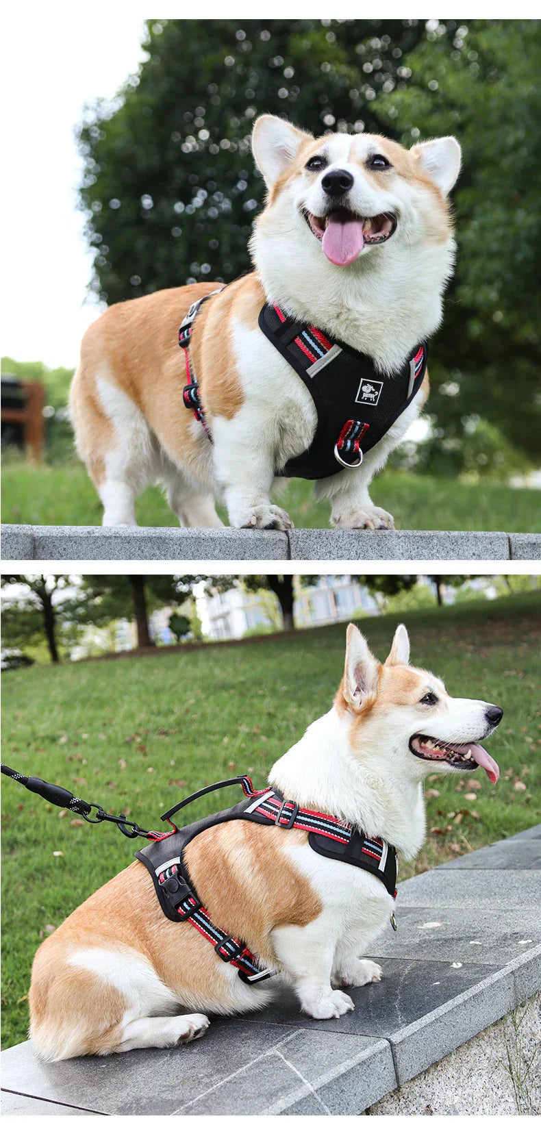 Travel Dog Harness & Lead