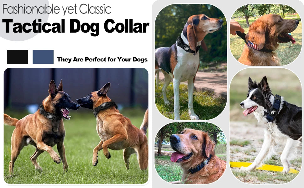 PatrolTag GPS Dog Collar