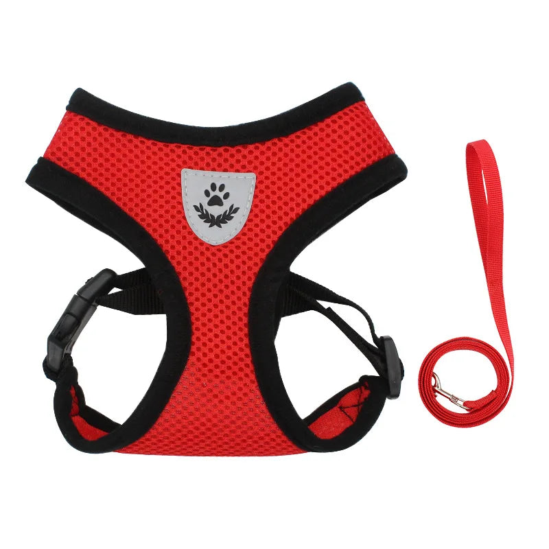 Dog Harnesses