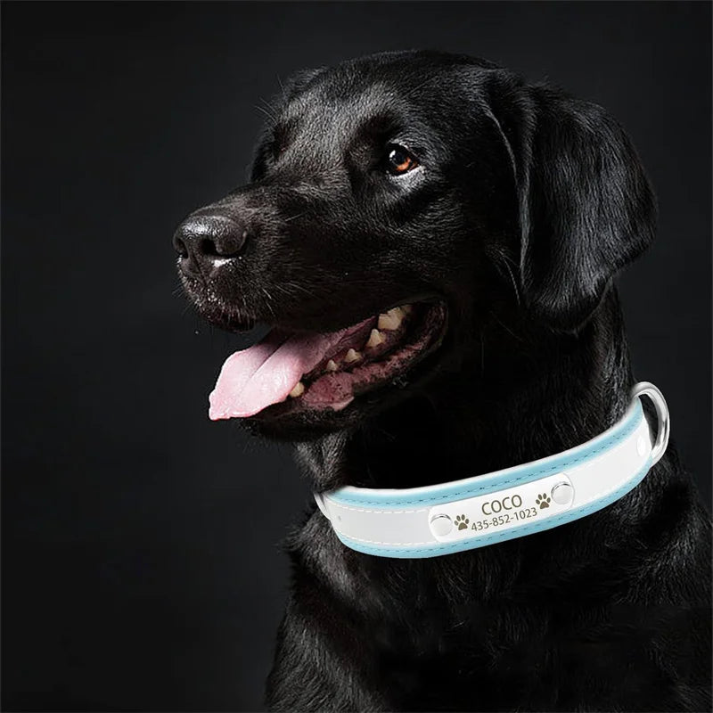 Personalized Reflective Dog Collar with ID Tag