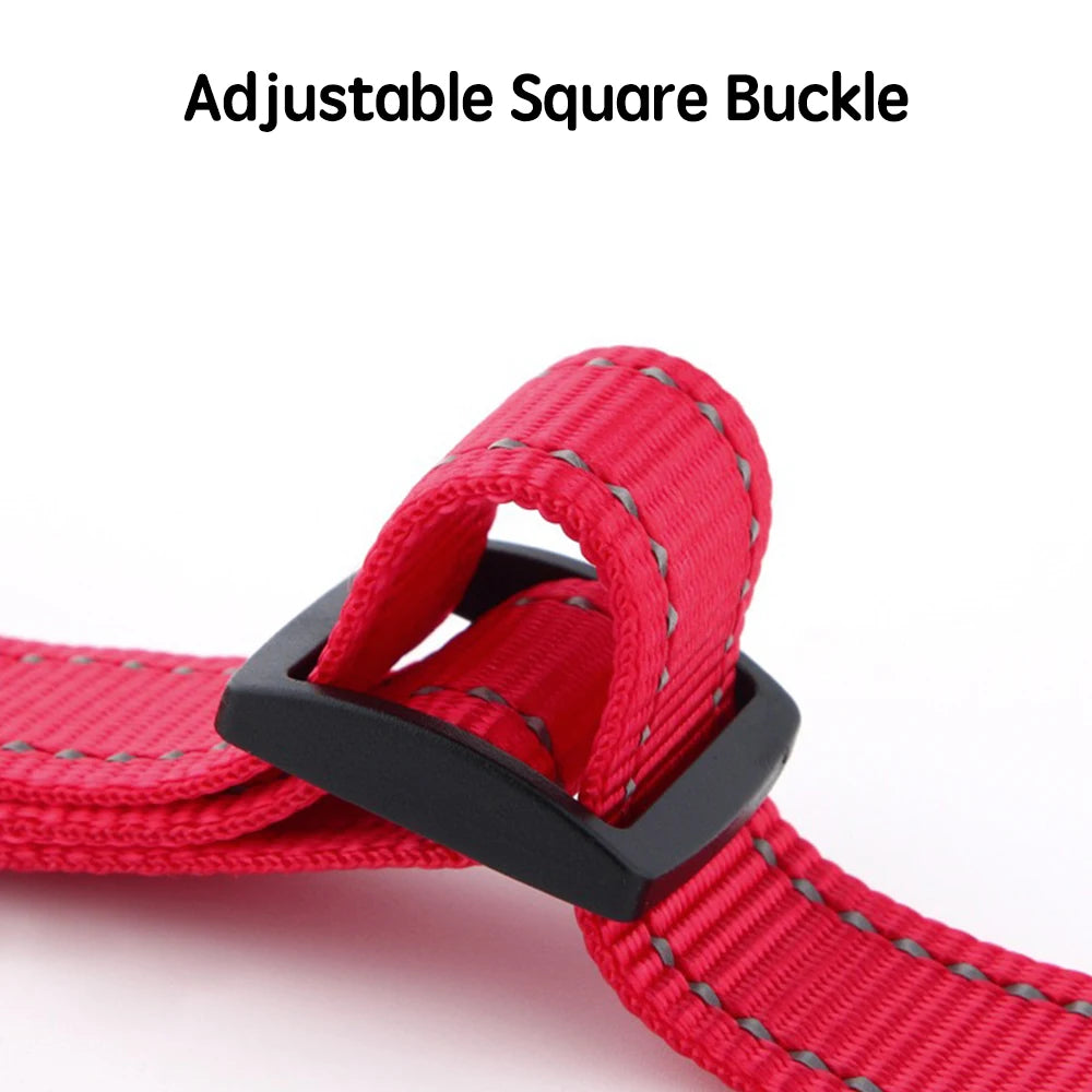 Adjustable Nylon Dog Collar with Safety Lock (2-in-1 Chain)