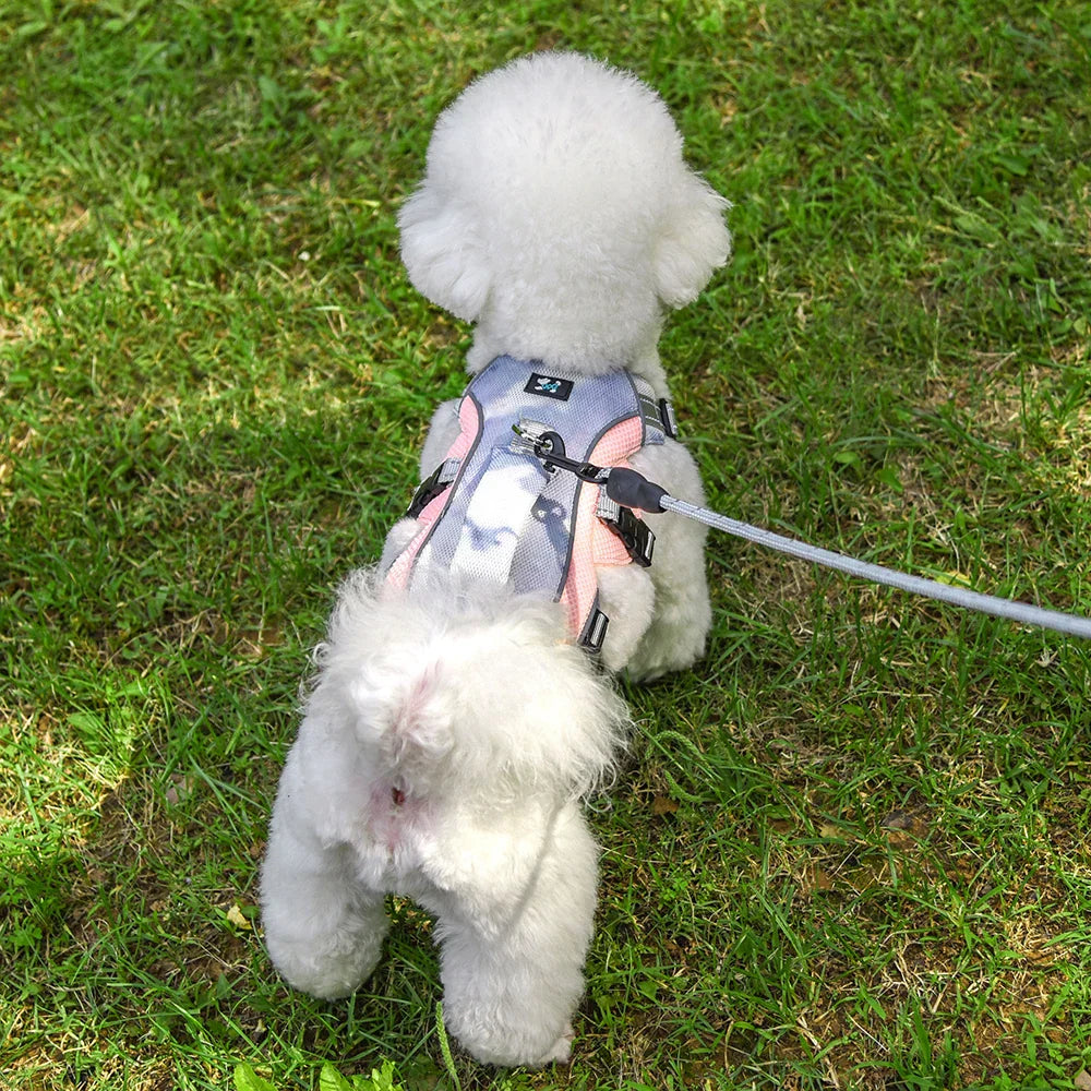 Adjustable Dog Vest