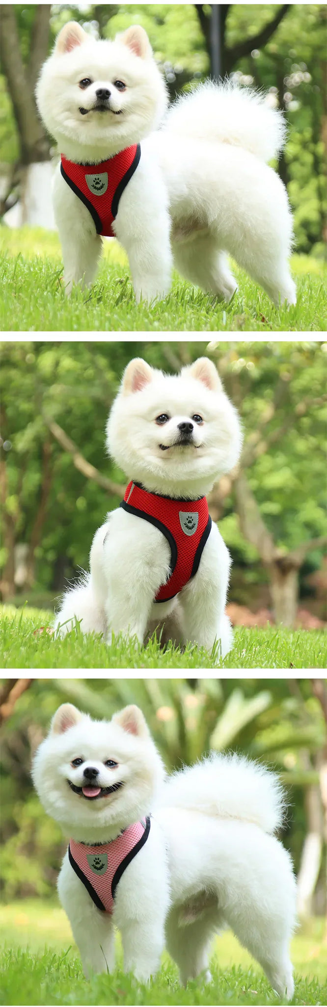 Dog Harnesses