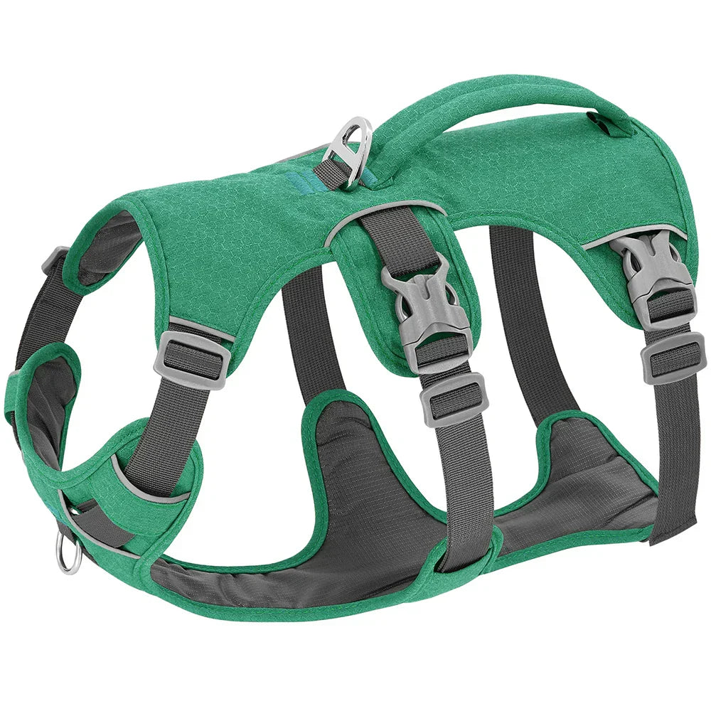 Bulldog Nylon Dog Harness