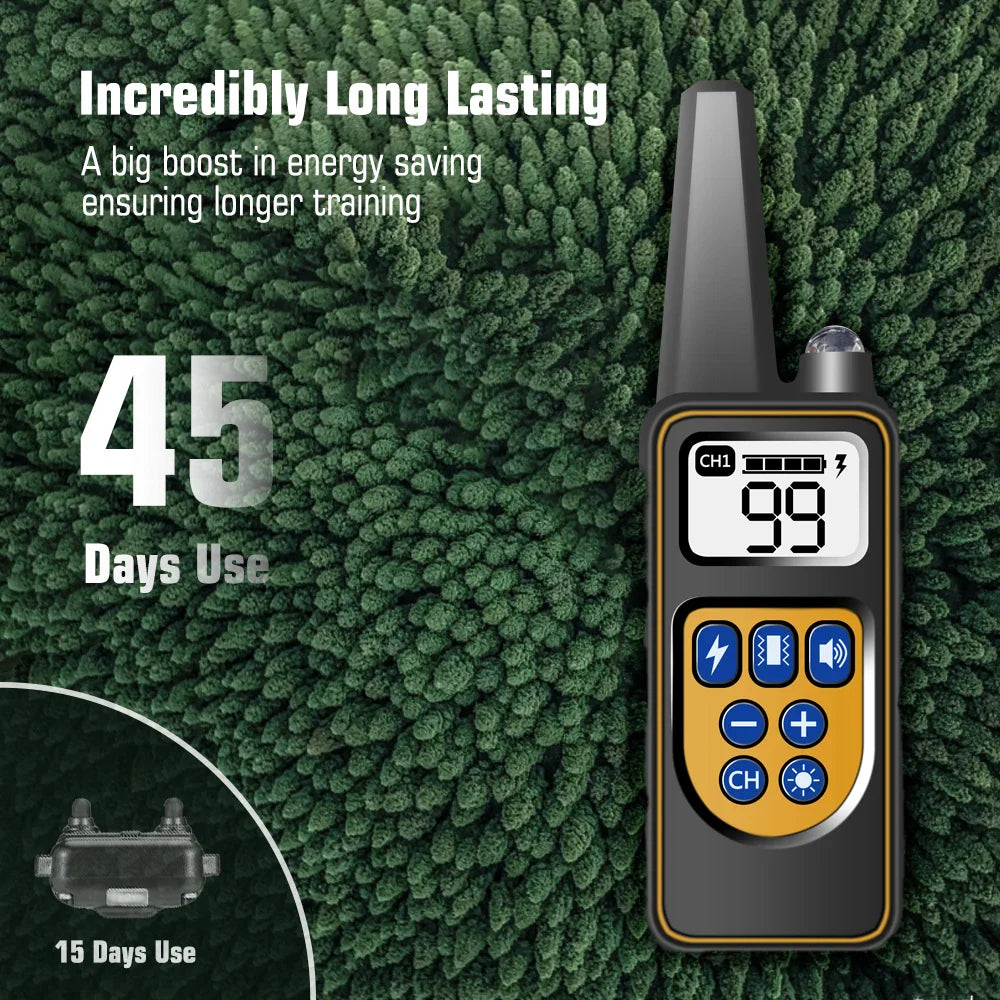 Dog Training Collar