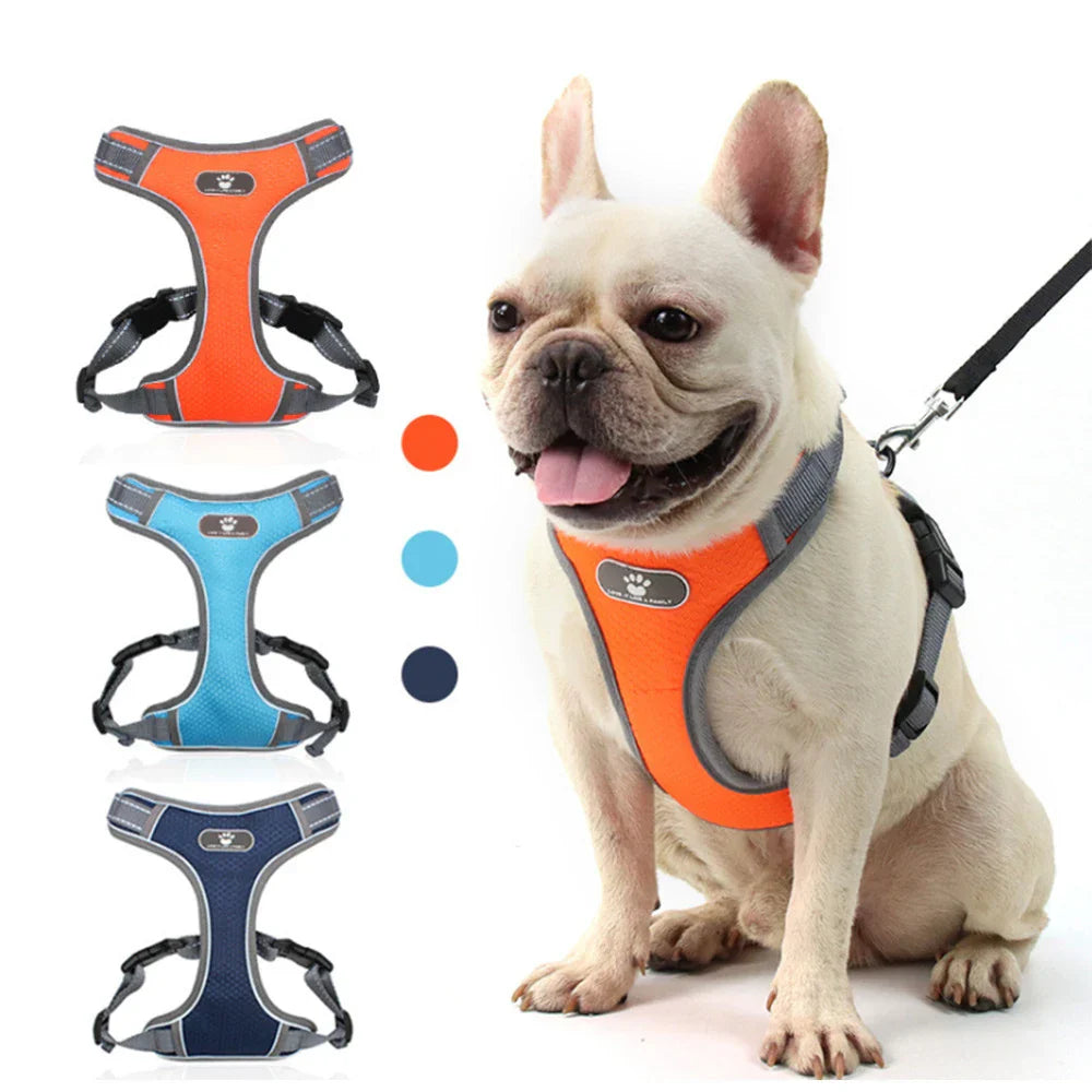 Dog Rainproof Harness Set