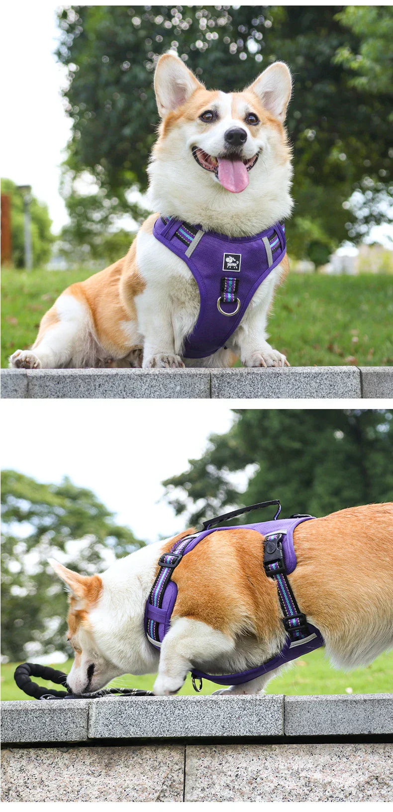 Travel Dog Harness & Lead