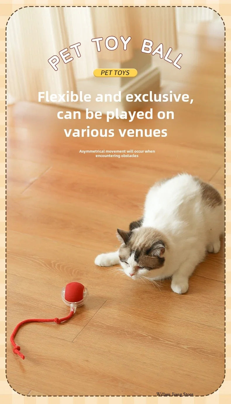 Intelligent Electric Cats Toys Rolling Ball