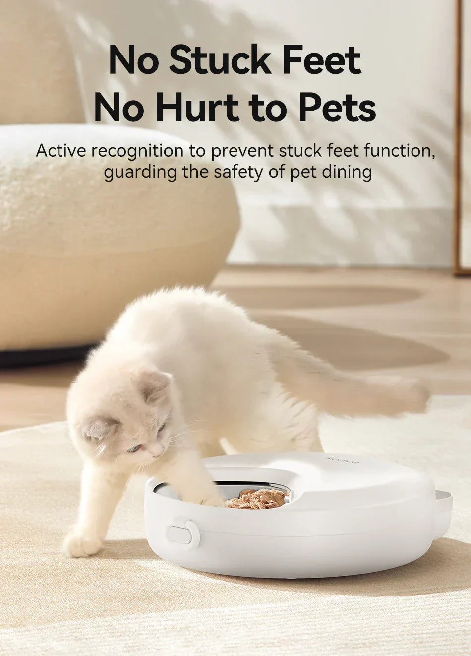 Food Dispenser For Cats