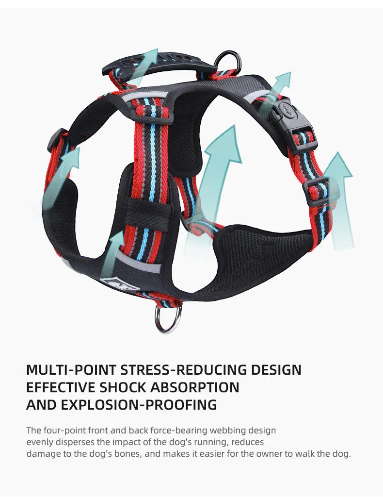 Travel Dog Harness & Lead