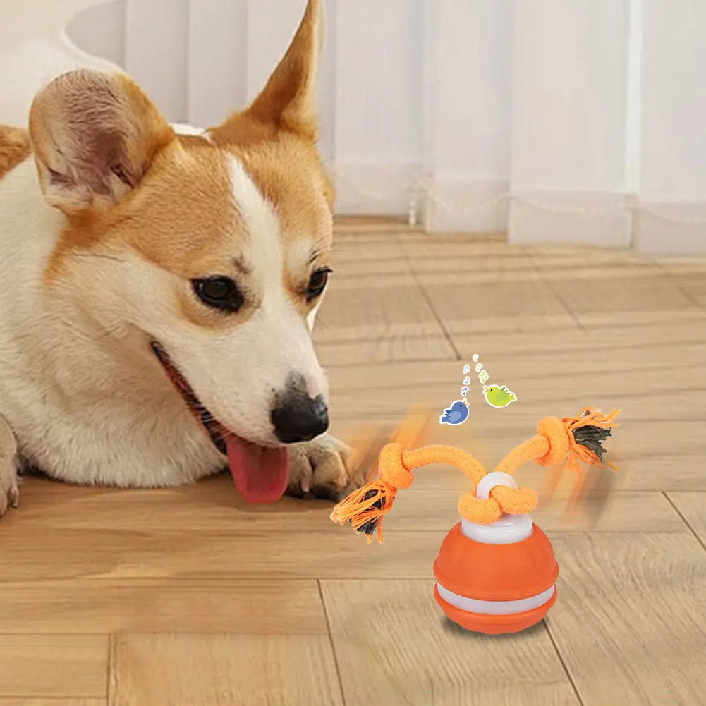 Interactive Motion Rolling Ball for Dogs