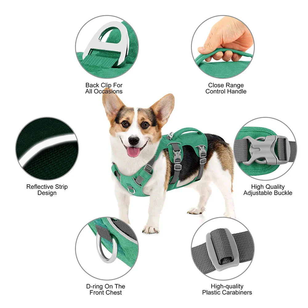 Bulldog Nylon Dog Harness