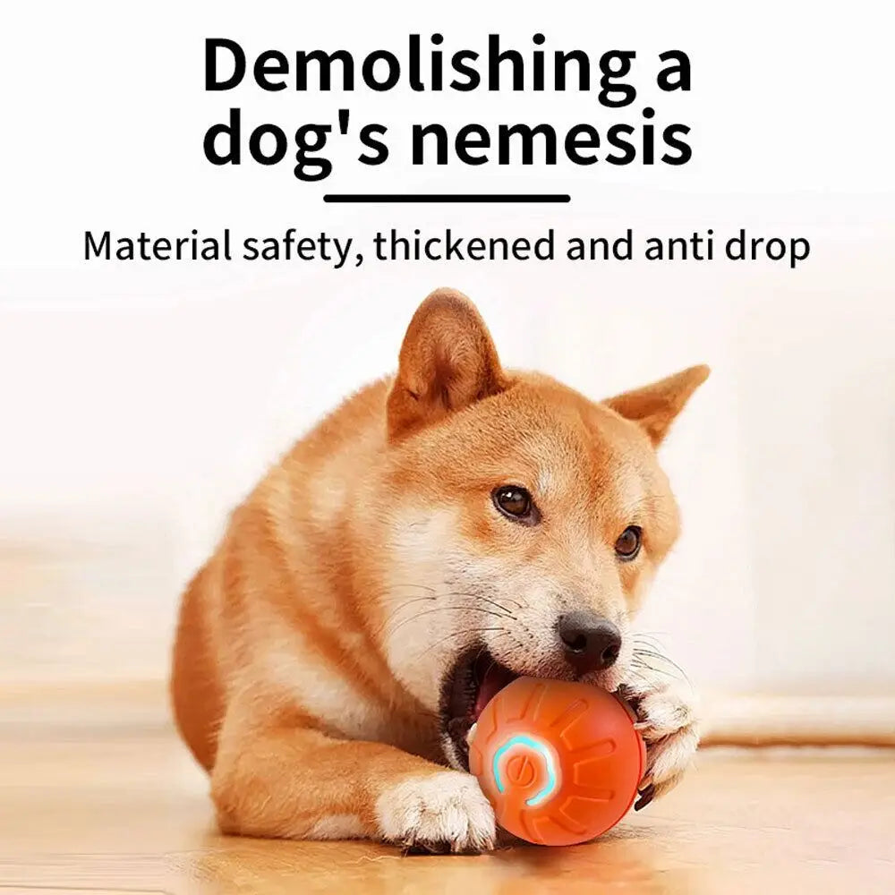 BouncyPaws Automatic Dog Ball