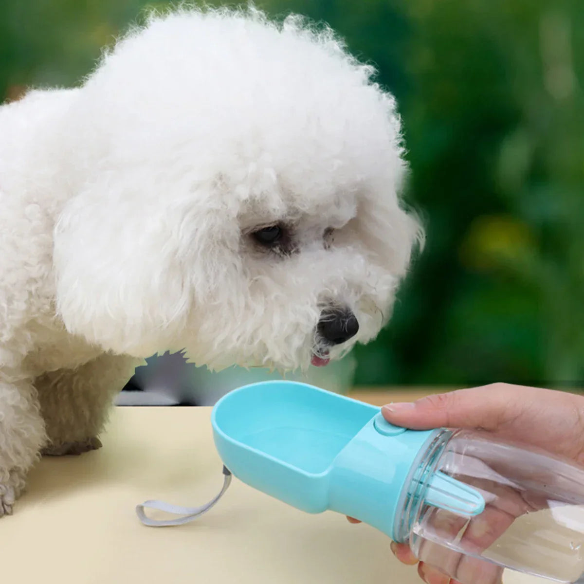 Pet feeding&water supplies
