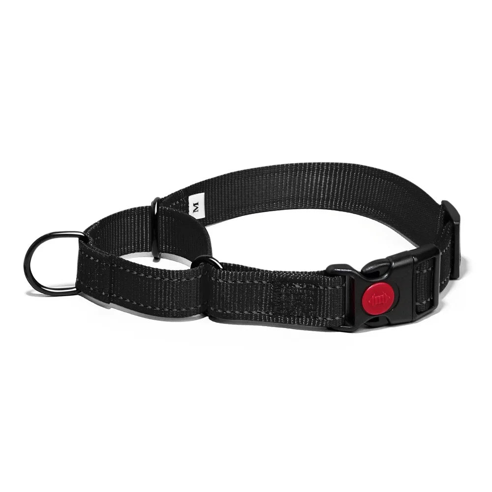 Adjustable Nylon Dog Collar with Safety Lock (2-in-1 Chain)