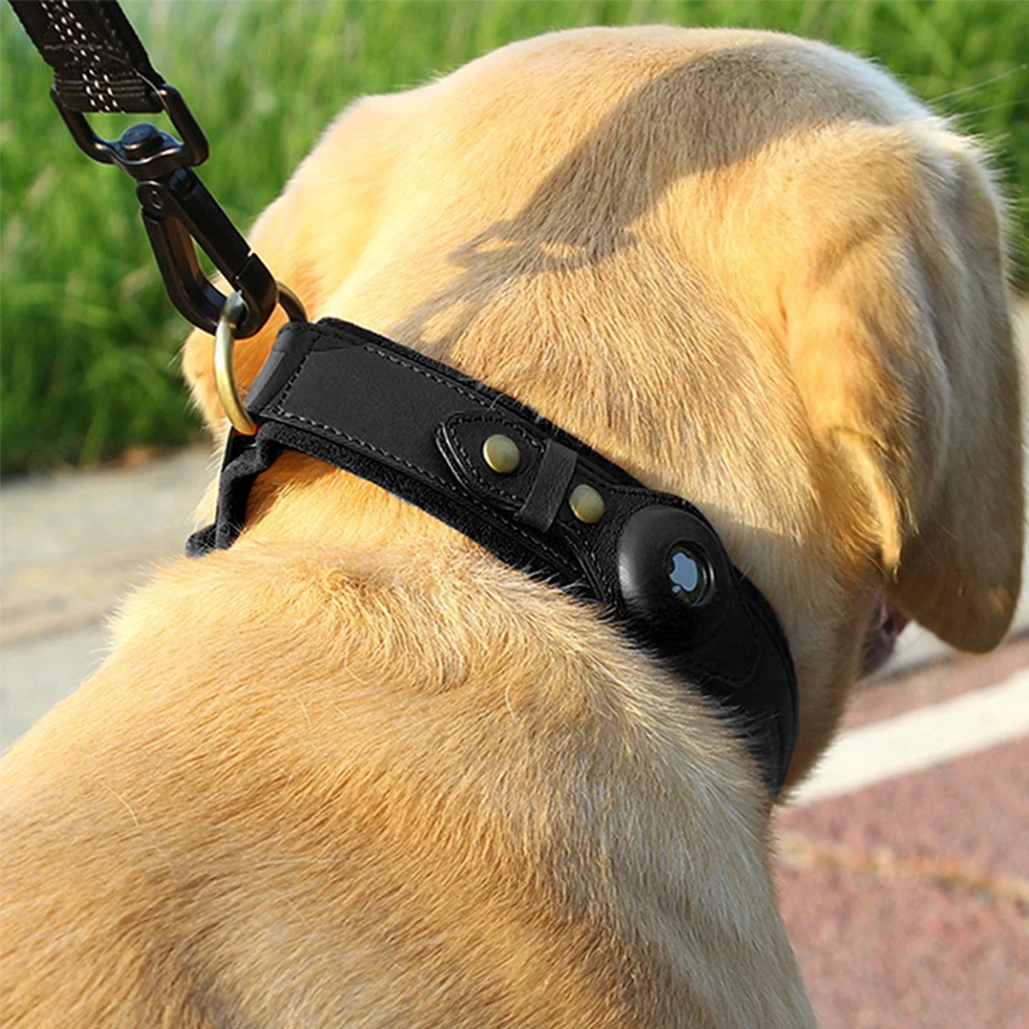 AirTag Holder Dog Collar – Leather