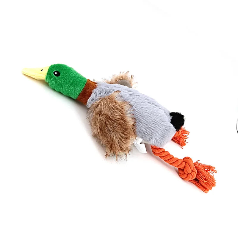 Plush Wild Duck Dog Toy with Squeaker