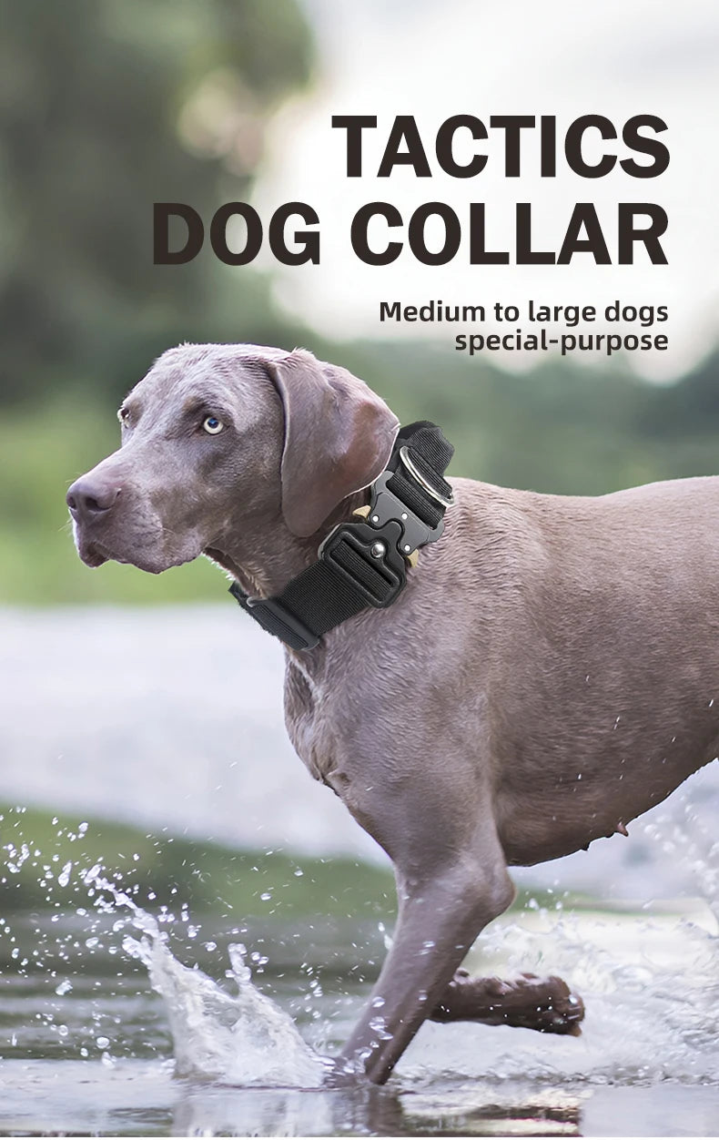 Tactical Dog Collar with Metal Buckle