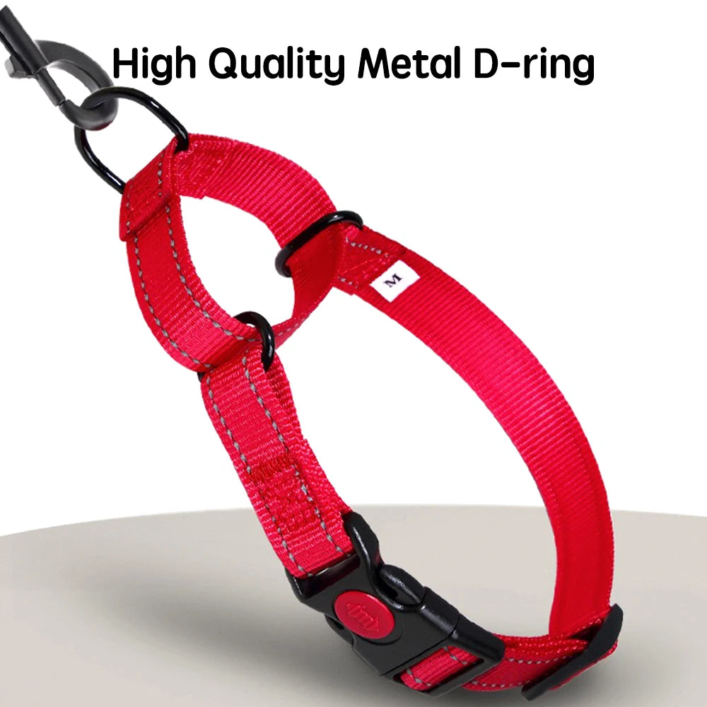 Adjustable Nylon Dog Collar with Safety Lock (2-in-1 Chain)