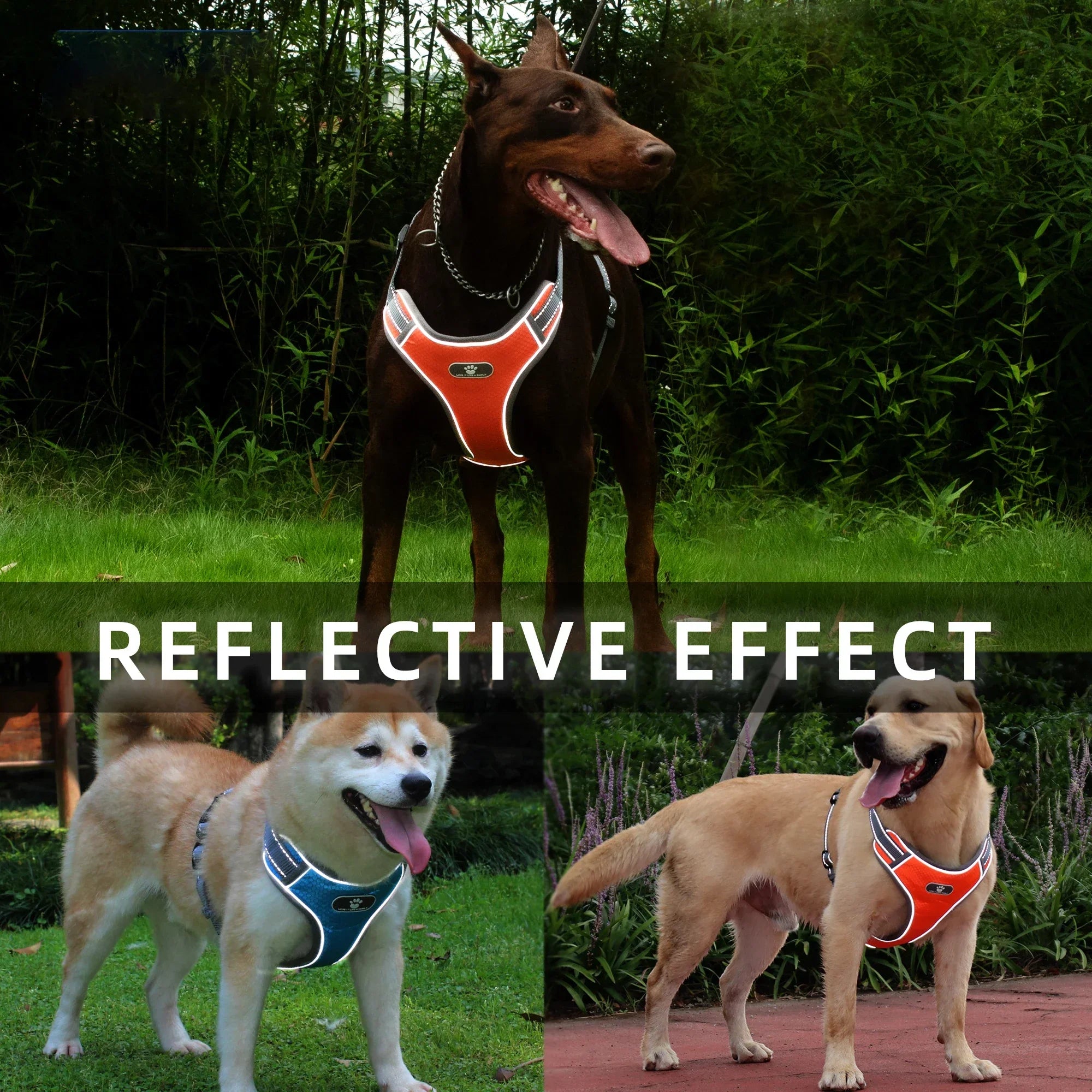 Dog Rainproof Harness Set