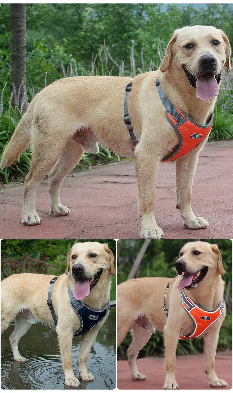 Dog Rainproof Harness Set