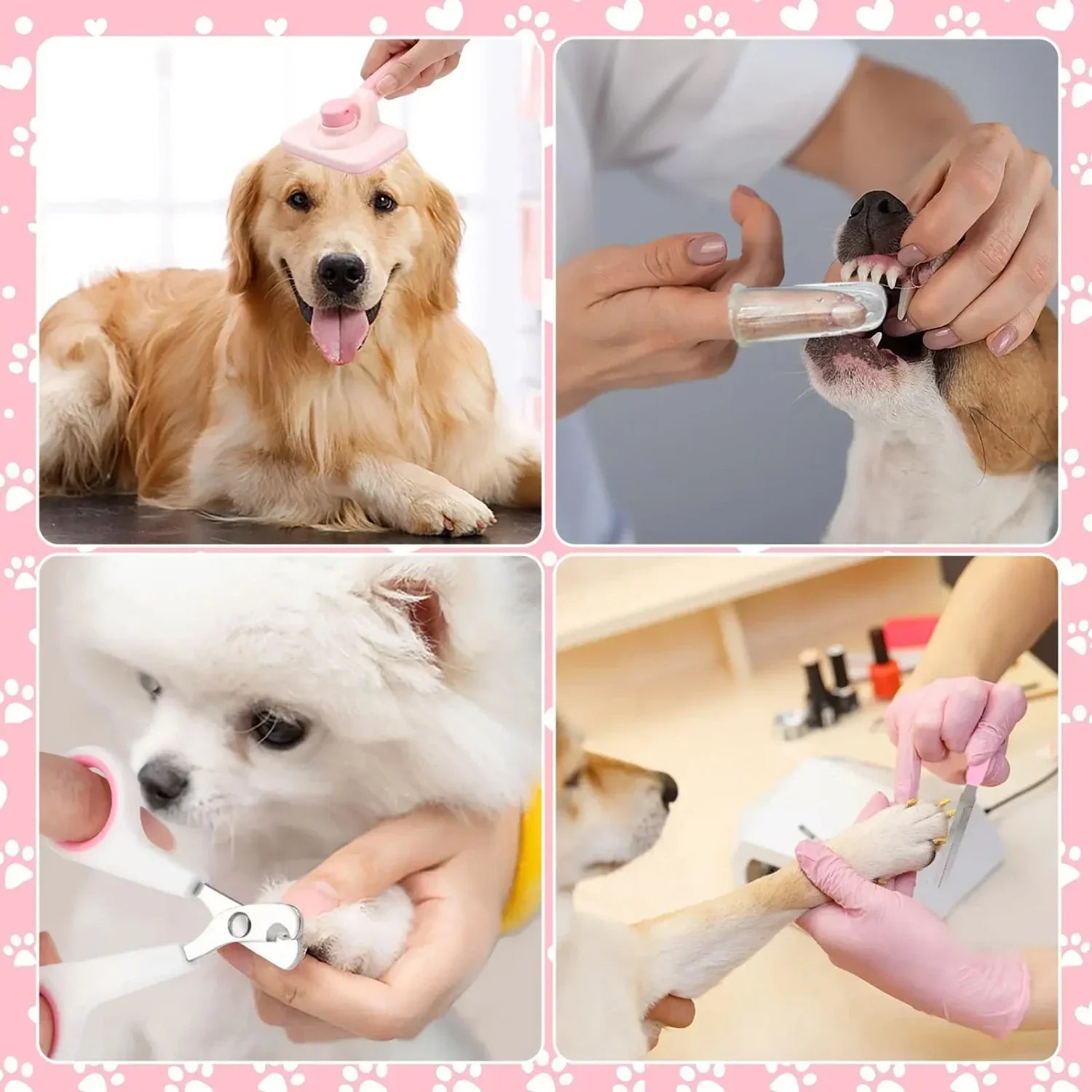 Ultimate Pet Grooming Kit
