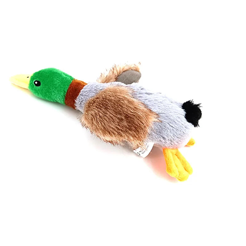 Plush Wild Duck Dog Toy with Squeaker