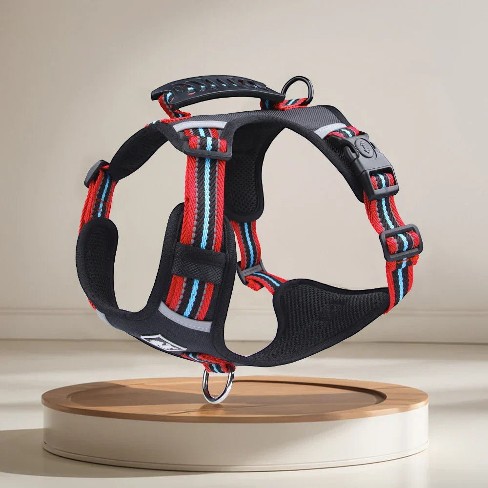 Travel Dog Harness & Lead
