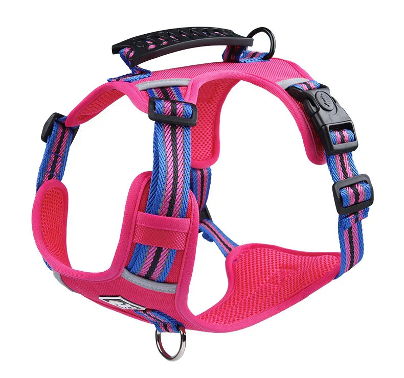 Travel Dog Harness & Lead