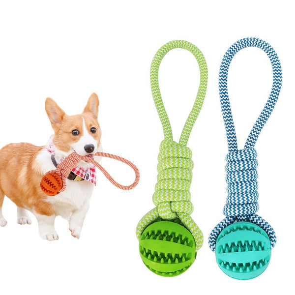 🎾 Dog Treat Ball Toy